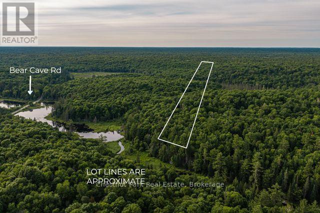 N/a .n/a, Muskoka Lakes, Ontario  P0C 1J0 - Photo 2 - X13515308