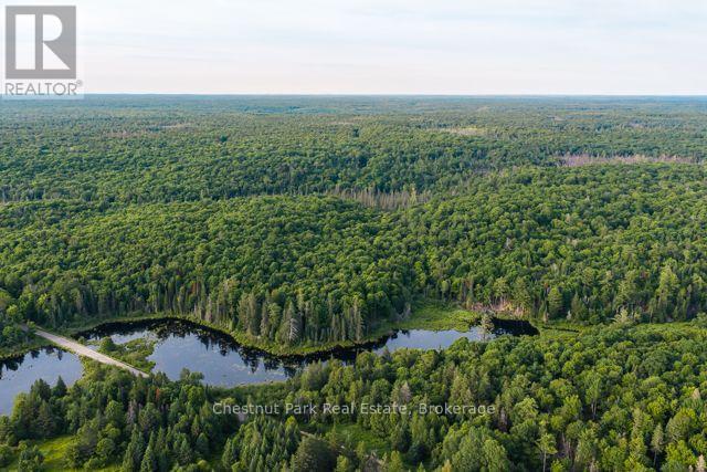 N/a .n/a, Muskoka Lakes, Ontario  P0C 1J0 - Photo 7 - X13515308