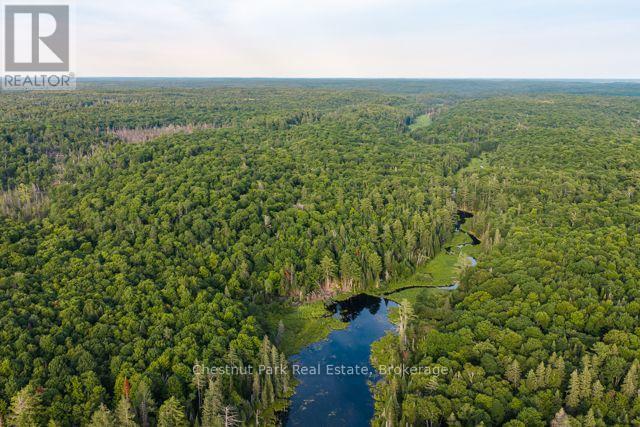 N/a .n/a, Muskoka Lakes, Ontario  P0C 1J0 - Photo 9 - X13515308