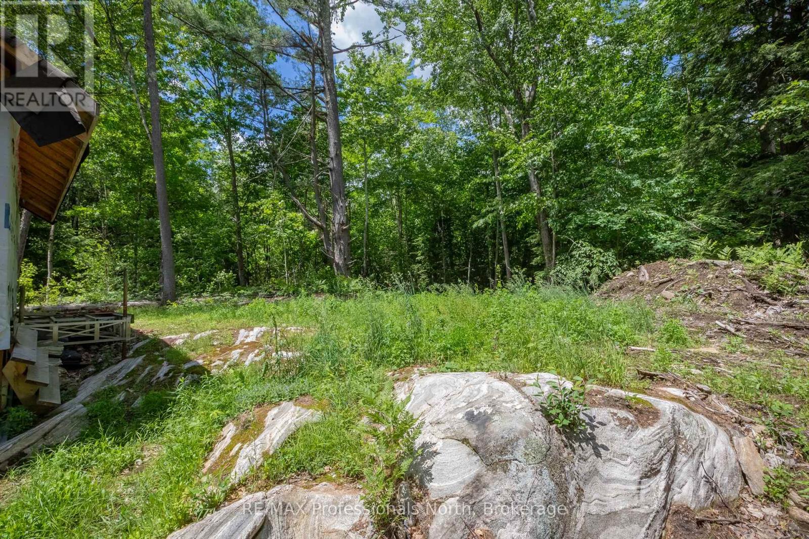 1219 Medora Lake Road, Muskoka Lakes, Ontario  P0C 1A0 - Photo 18 - X13515598
