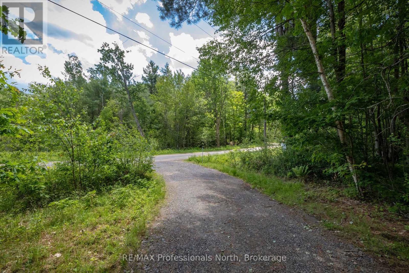 1219 Medora Lake Road, Muskoka Lakes, Ontario  P0C 1A0 - Photo 3 - X13515598