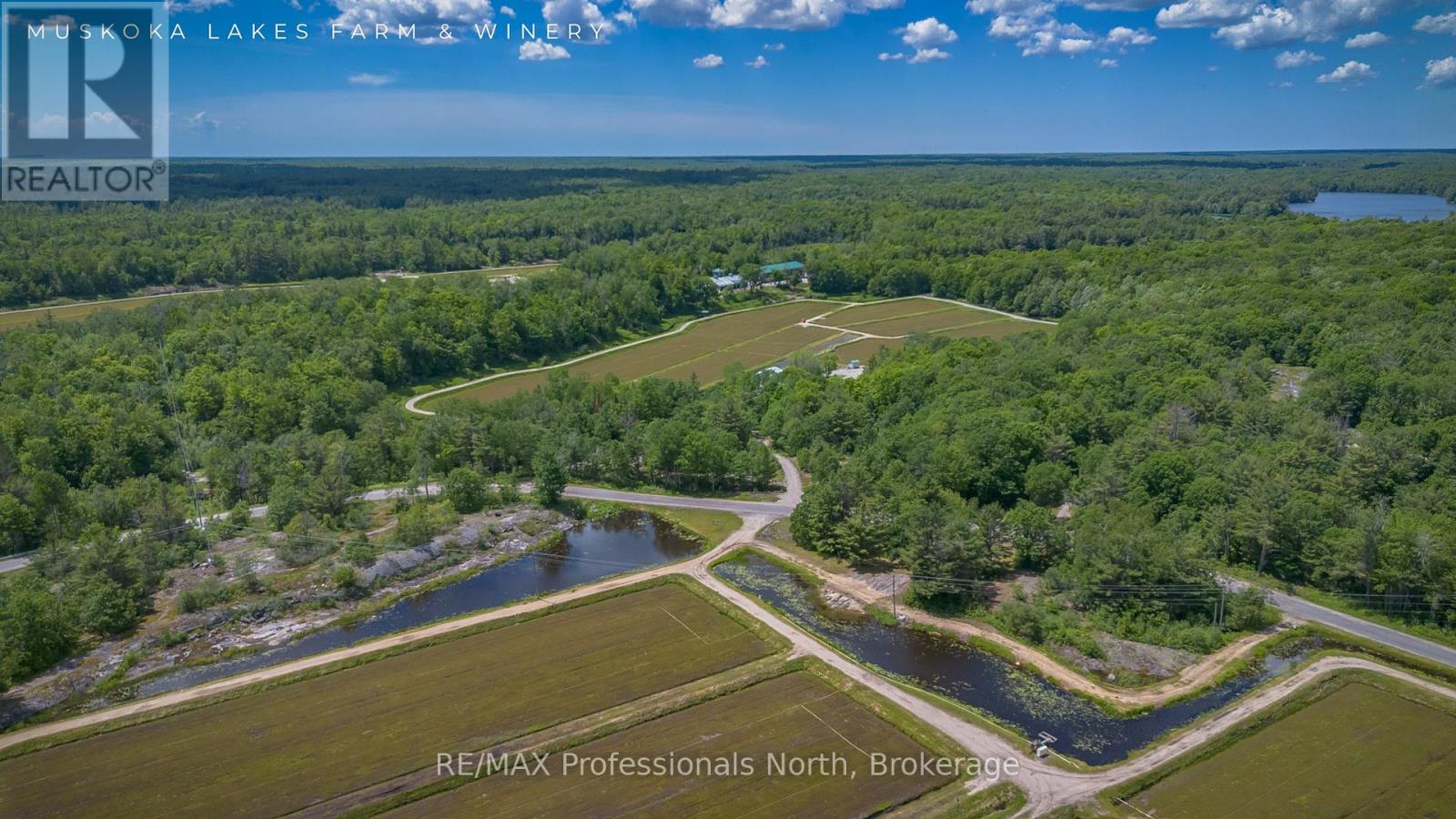 1219 Medora Lake Road, Muskoka Lakes, Ontario  P0C 1A0 - Photo 38 - X13515598