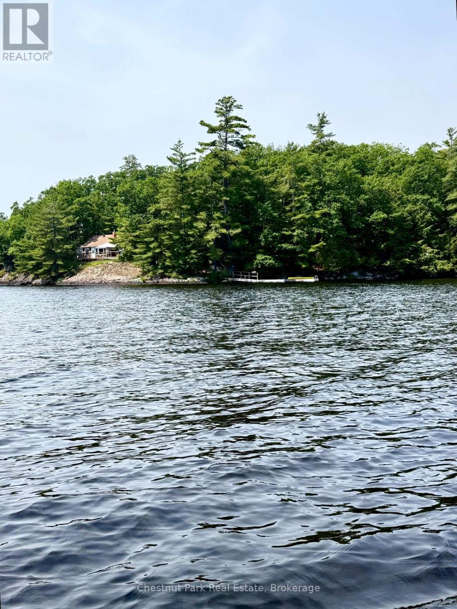 870 Browning Island, Bracebridge, Ontario  P1L 1X2 - Photo 20 - X13516066