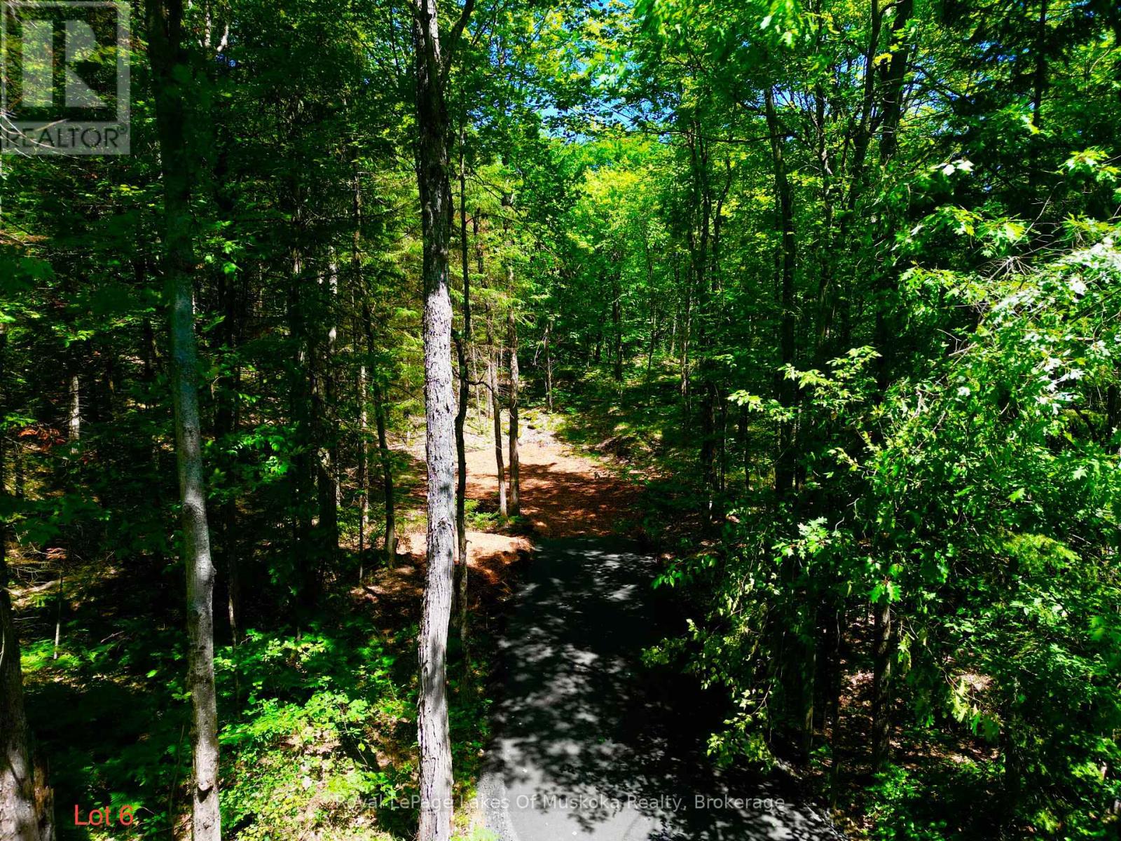 Lot 6 Fairy Falls Road, Lake Of Bays, Ontario P0B 1A0 - Photo 1 - X13518900