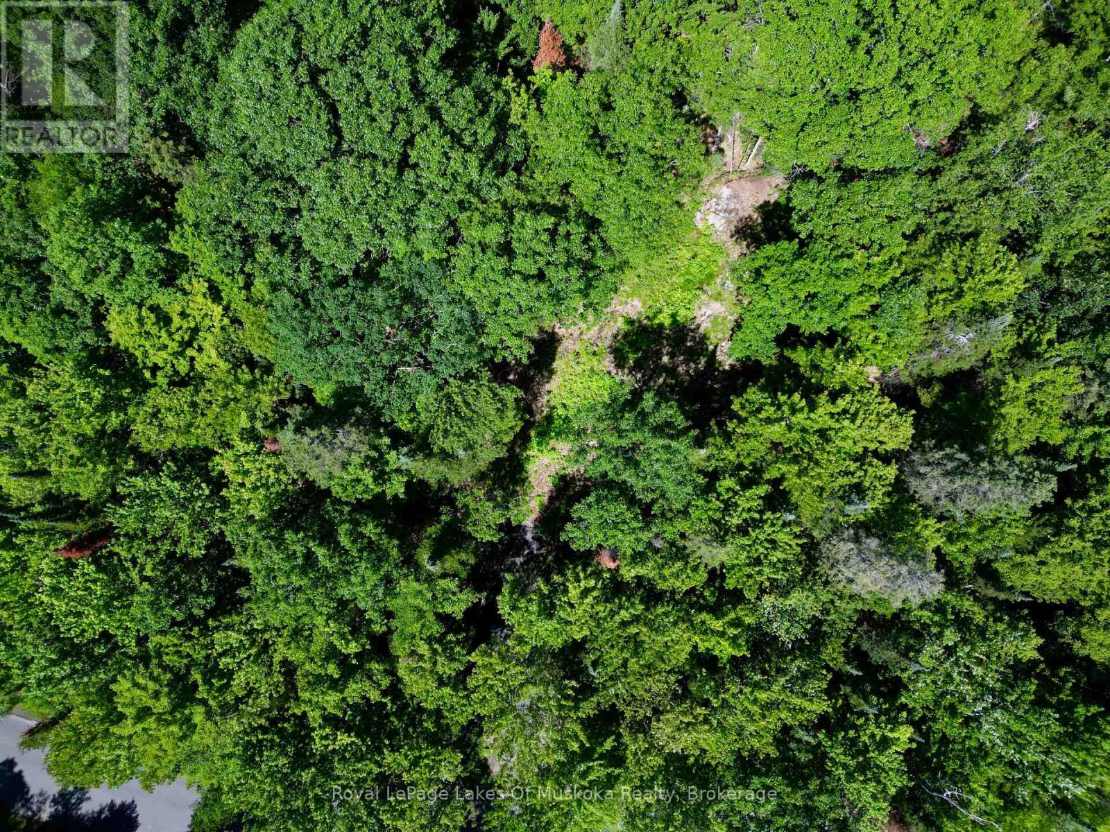 Lot 6 Fairy Falls Road, Lake Of Bays, Ontario P0B 1A0 - Photo 3 - X13518900