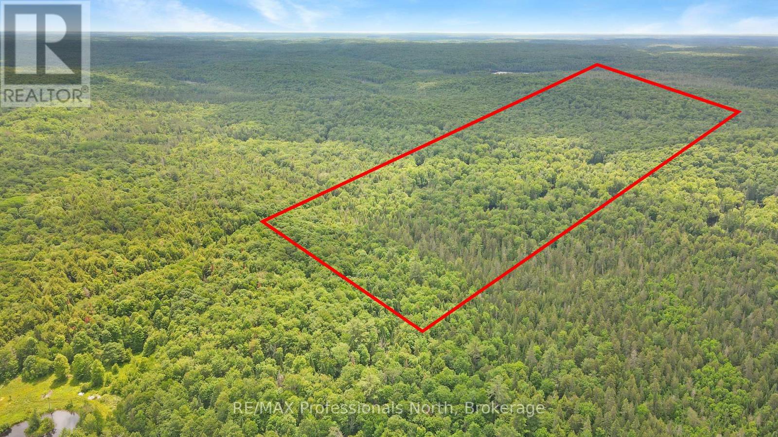 0 Con 4 Lot 16, Bracebridge, Ontario  P1L 1S0 - Photo 5 - X13519928