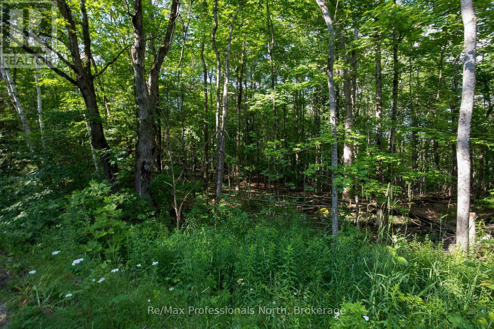 0 Walkers Point Road N, Muskoka Lakes, Ontario  P1P 1R2 - Photo 2 - X13523936