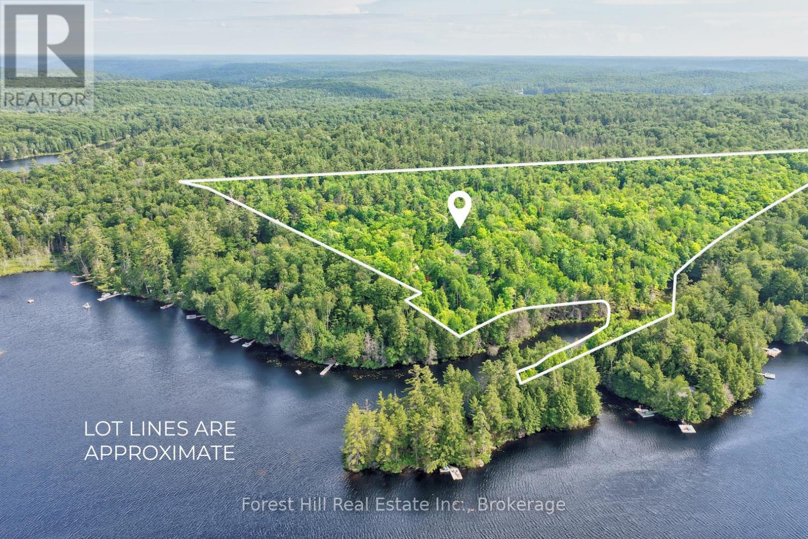 1065 Pine Lane S, Lake Of Bays, Ontario P0A 1B0 - Photo 3 - X13524678