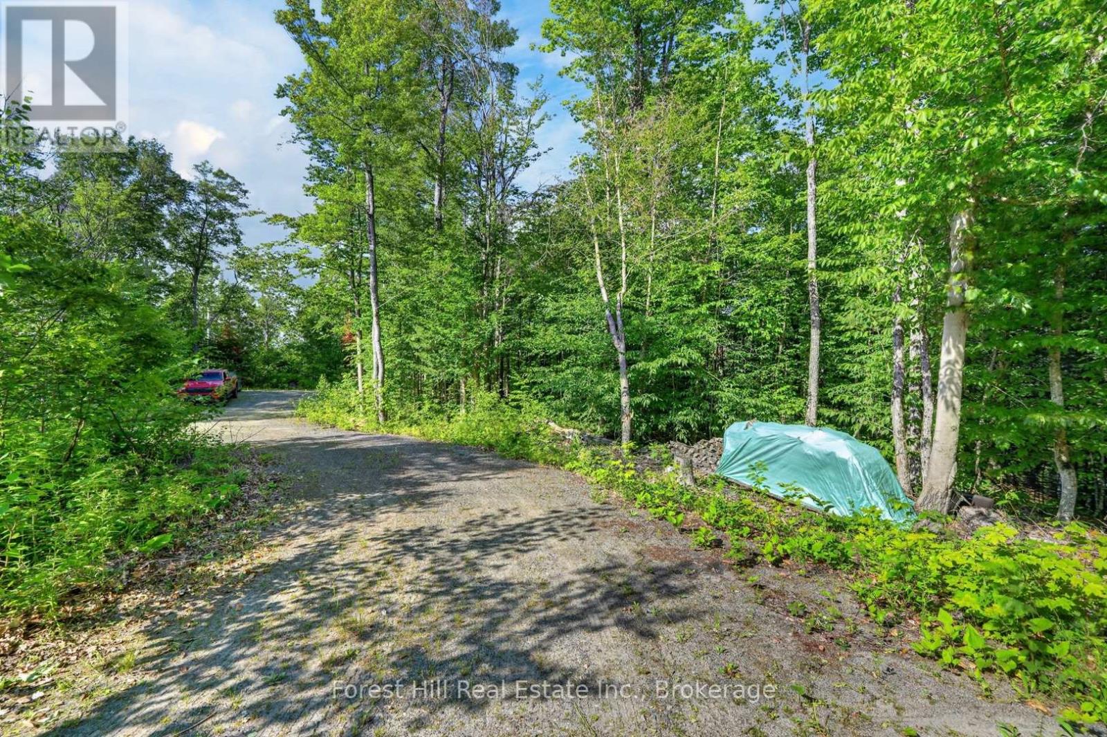 1065 Pine Lane S, Lake Of Bays, Ontario P0A 1B0 - Photo 39 - X13524678
