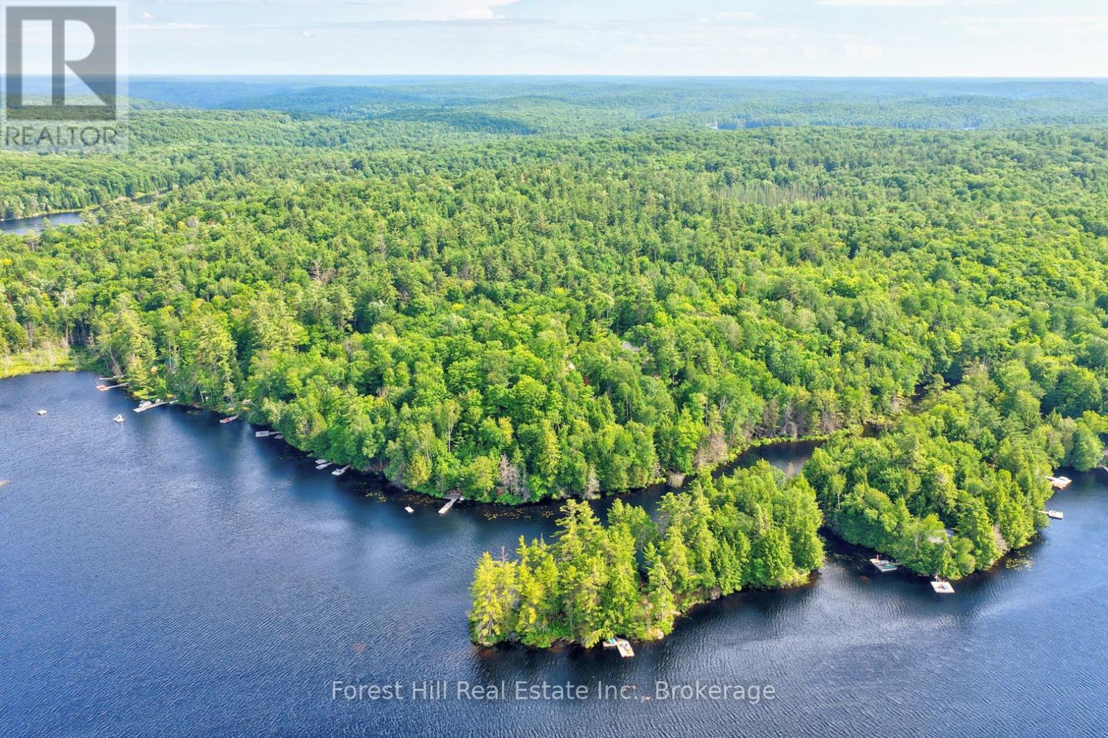 1065 Pine Lane S, Lake Of Bays, Ontario P0A 1B0 - Photo 4 - X13524678