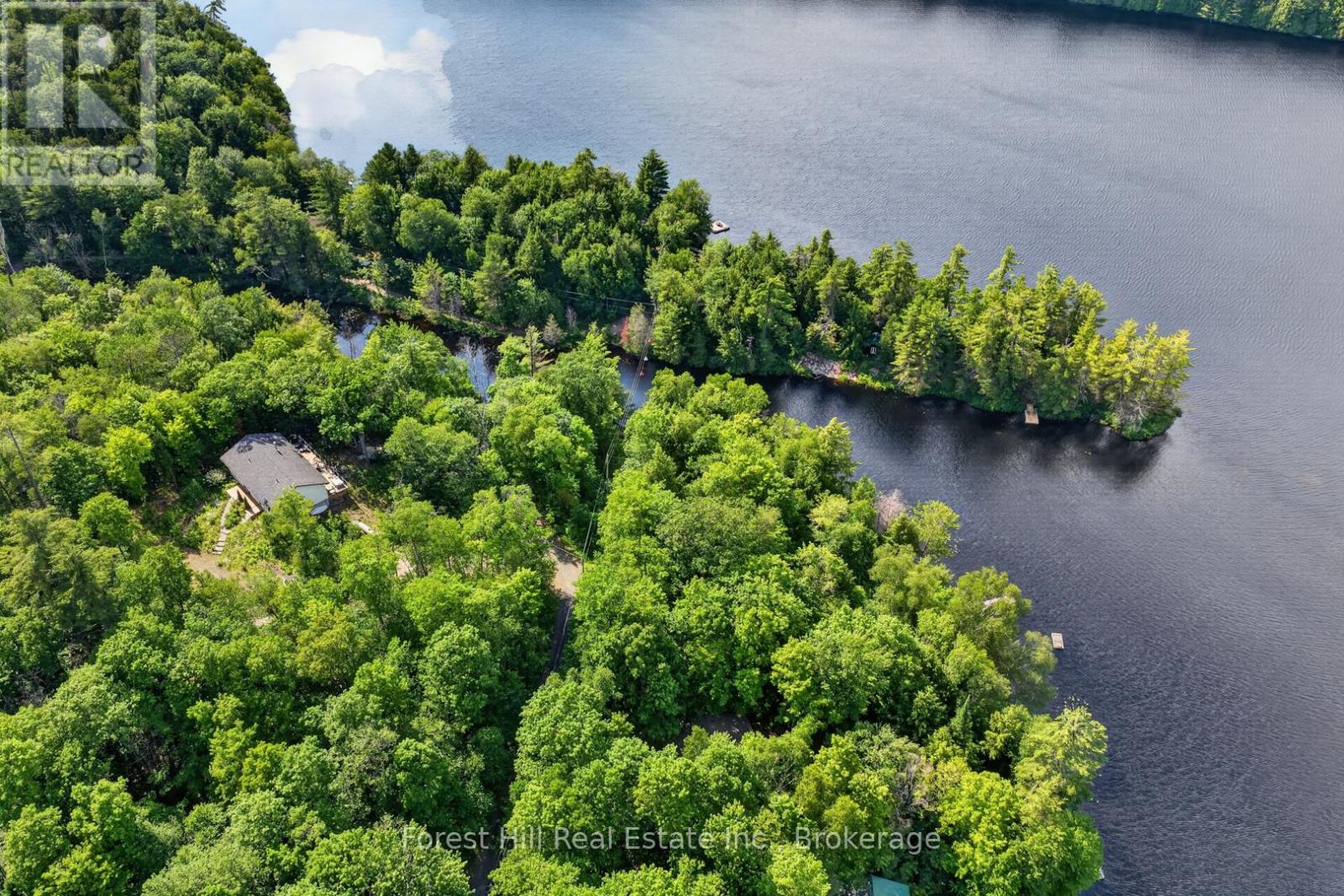 1065 Pine Lane S, Lake Of Bays, Ontario P0A 1B0 - Photo 44 - X13524678