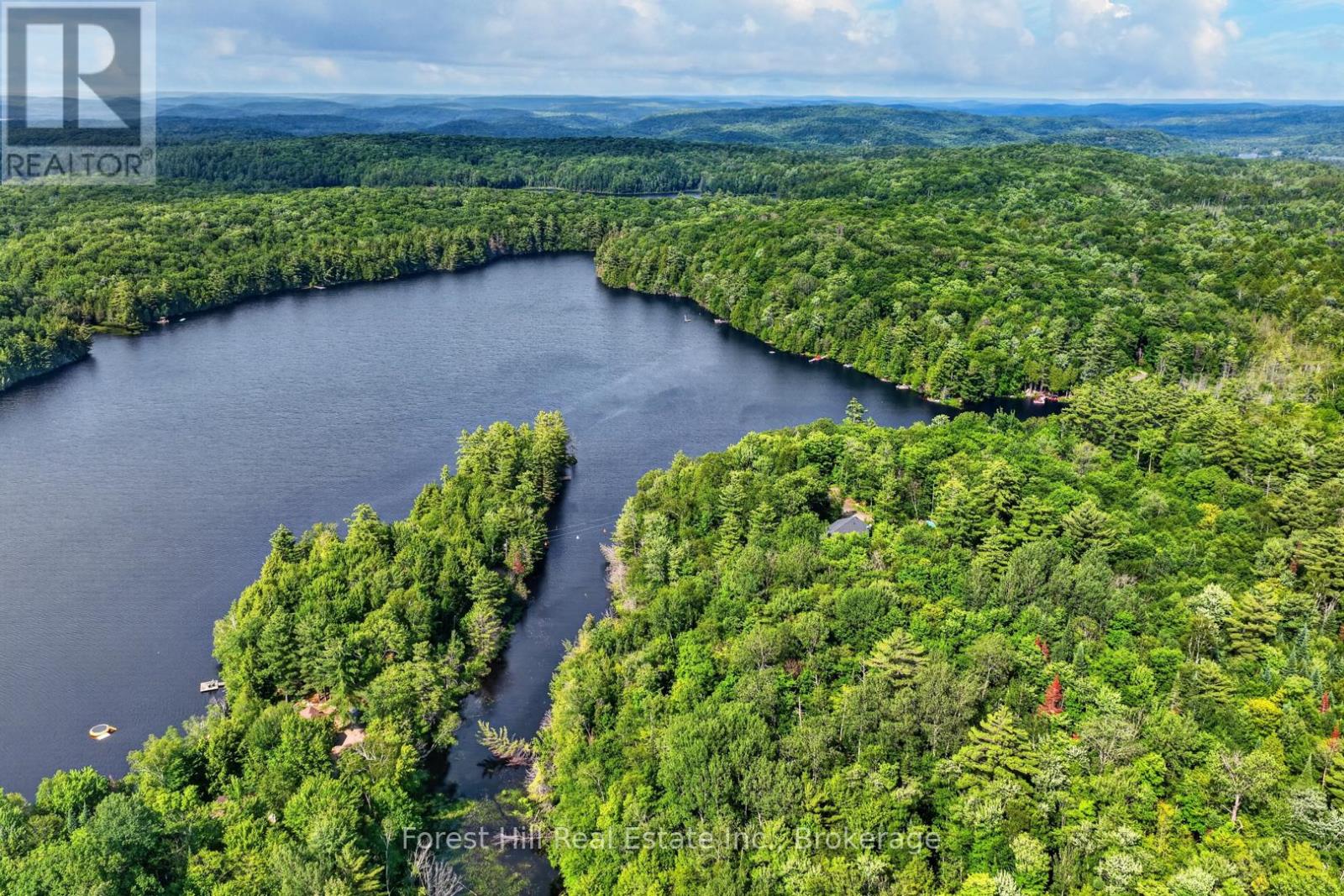 1065 Pine Lane S, Lake Of Bays, Ontario P0A 1B0 - Photo 46 - X13524678