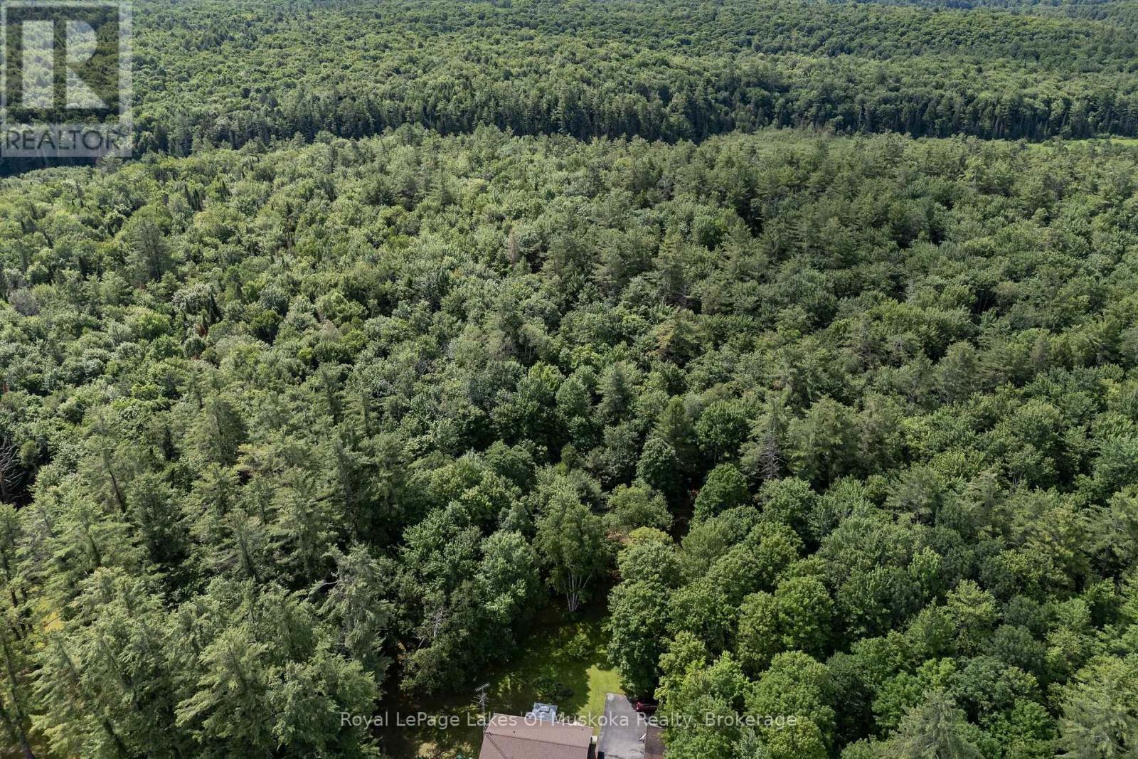 1170 Muskoka 117 Road, Bracebridge, Ontario P1L 1W9 - Photo 29 - X13527124
