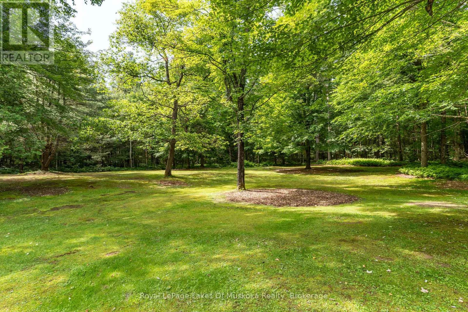 1170 Muskoka 117 Road, Bracebridge, Ontario P1L 1W9 - Photo 3 - X13527124