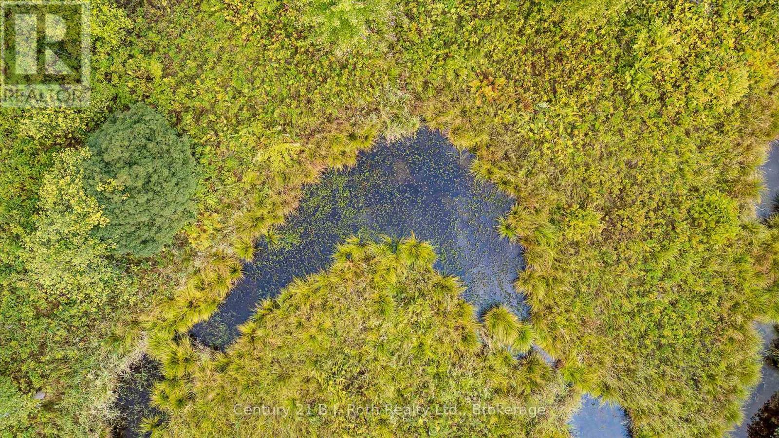 Lot 20 Beiers Road, Gravenhurst, Ontario  P0E 1N0 - Photo 10 - X13535726