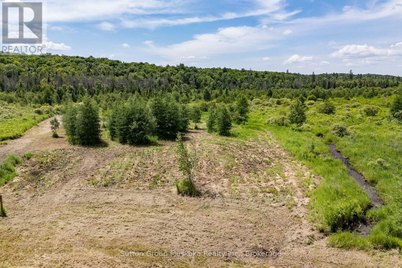 530 Clearwater Lake Road, Huntsville, Ontario  P0B 1L0 - Photo 17 - X13545654