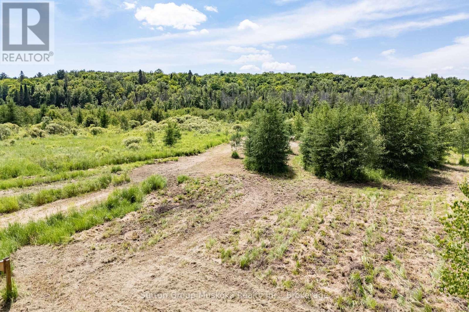 530 Clearwater Lake Road, Huntsville, Ontario  P0B 1L0 - Photo 18 - X13545654