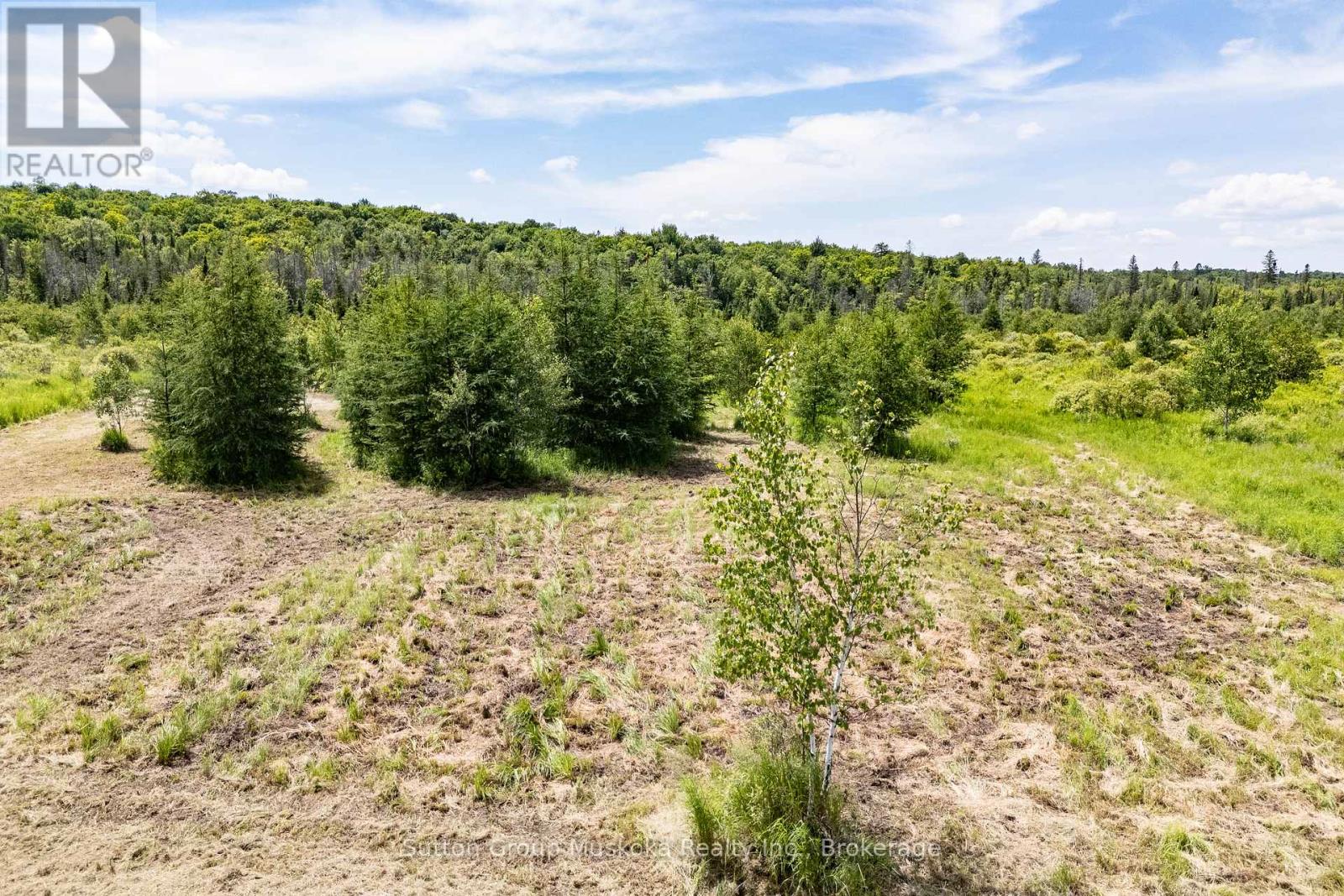 530 Clearwater Lake Road, Huntsville, Ontario  P0B 1L0 - Photo 19 - X13545654