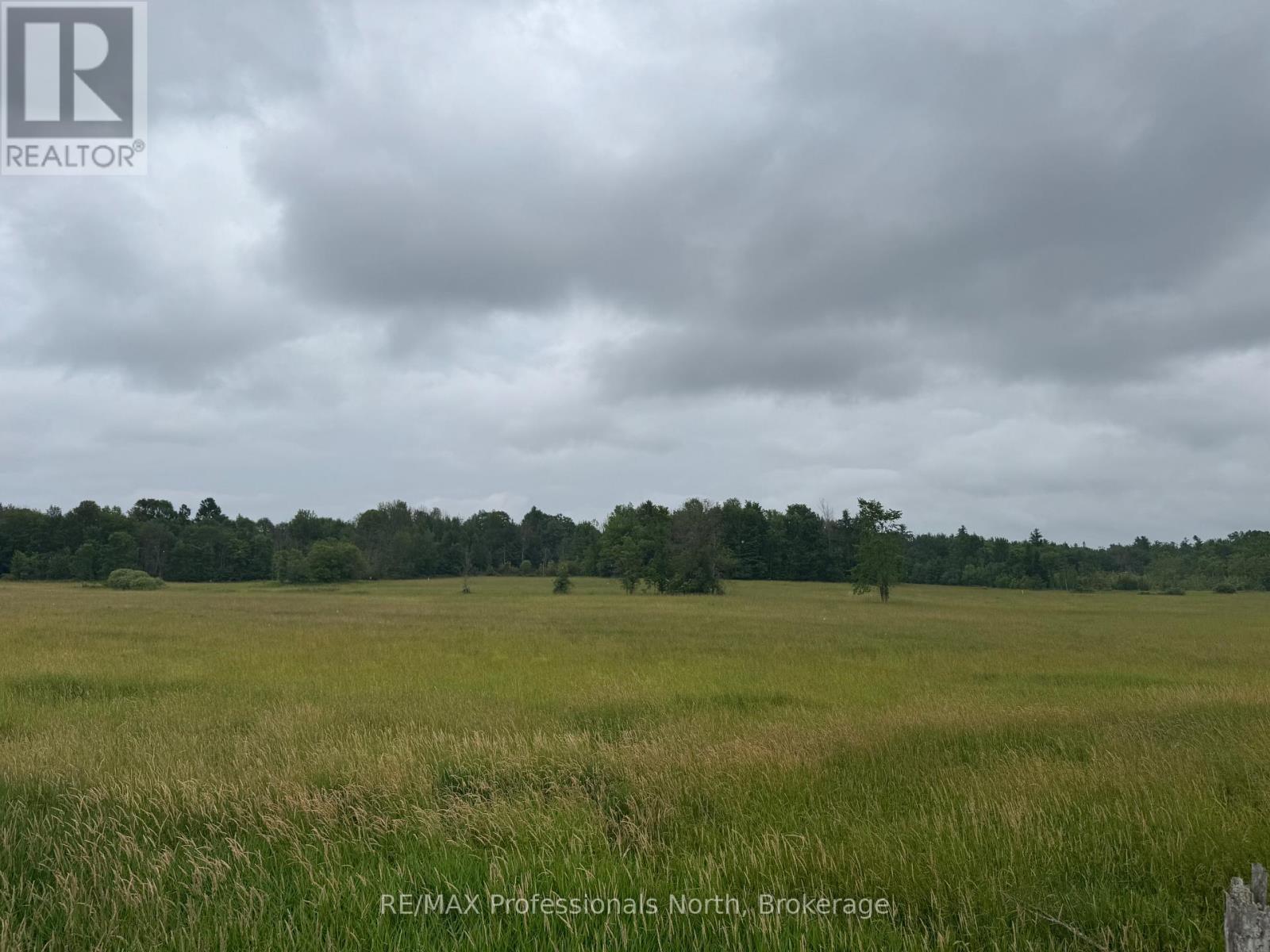 1503 Kilworthy Road, Gravenhurst, Ontario  P0E 1G0 - Photo 2 - X13550454