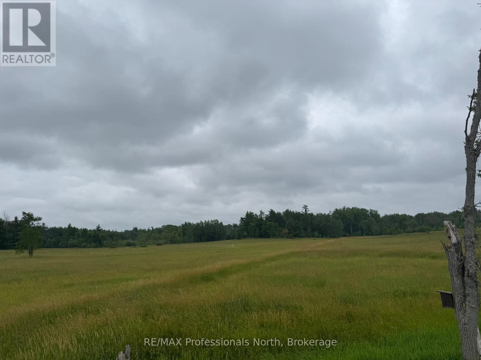 1503 Kilworthy Road, Gravenhurst, Ontario  P0E 1G0 - Photo 3 - X13550454