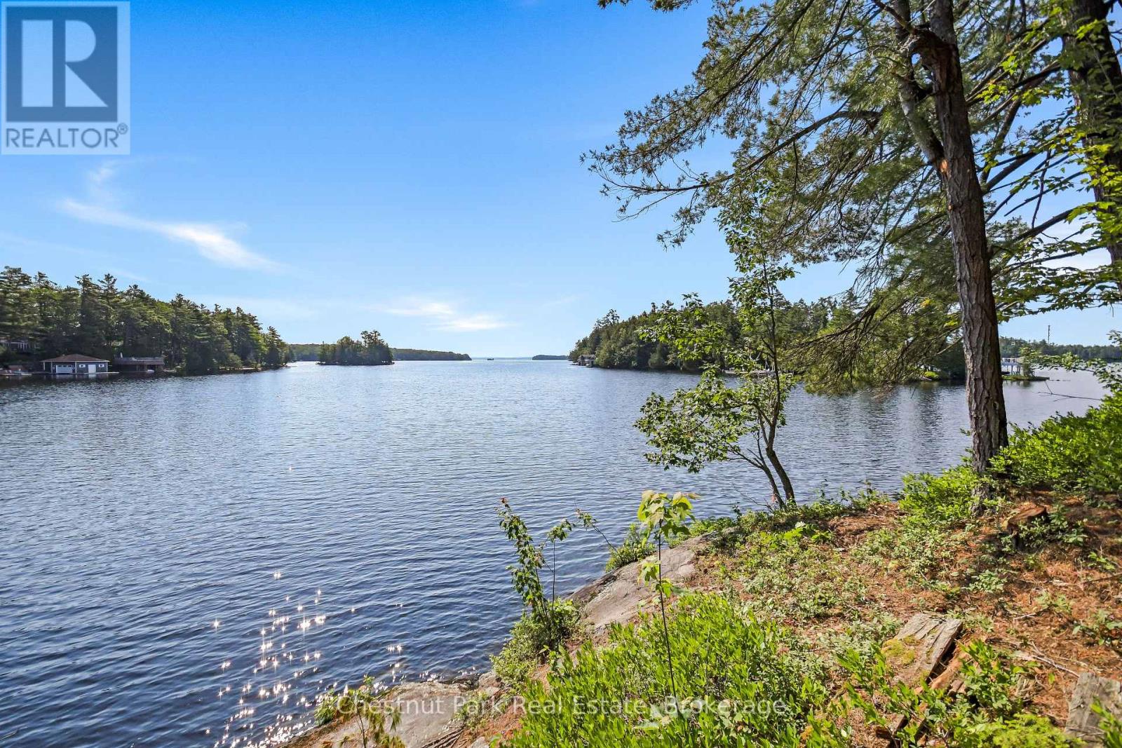 1 Merlin (Island M91) Island, Muskoka Lakes, Ontario  P1P 1R2 - Photo 1 - X13552974