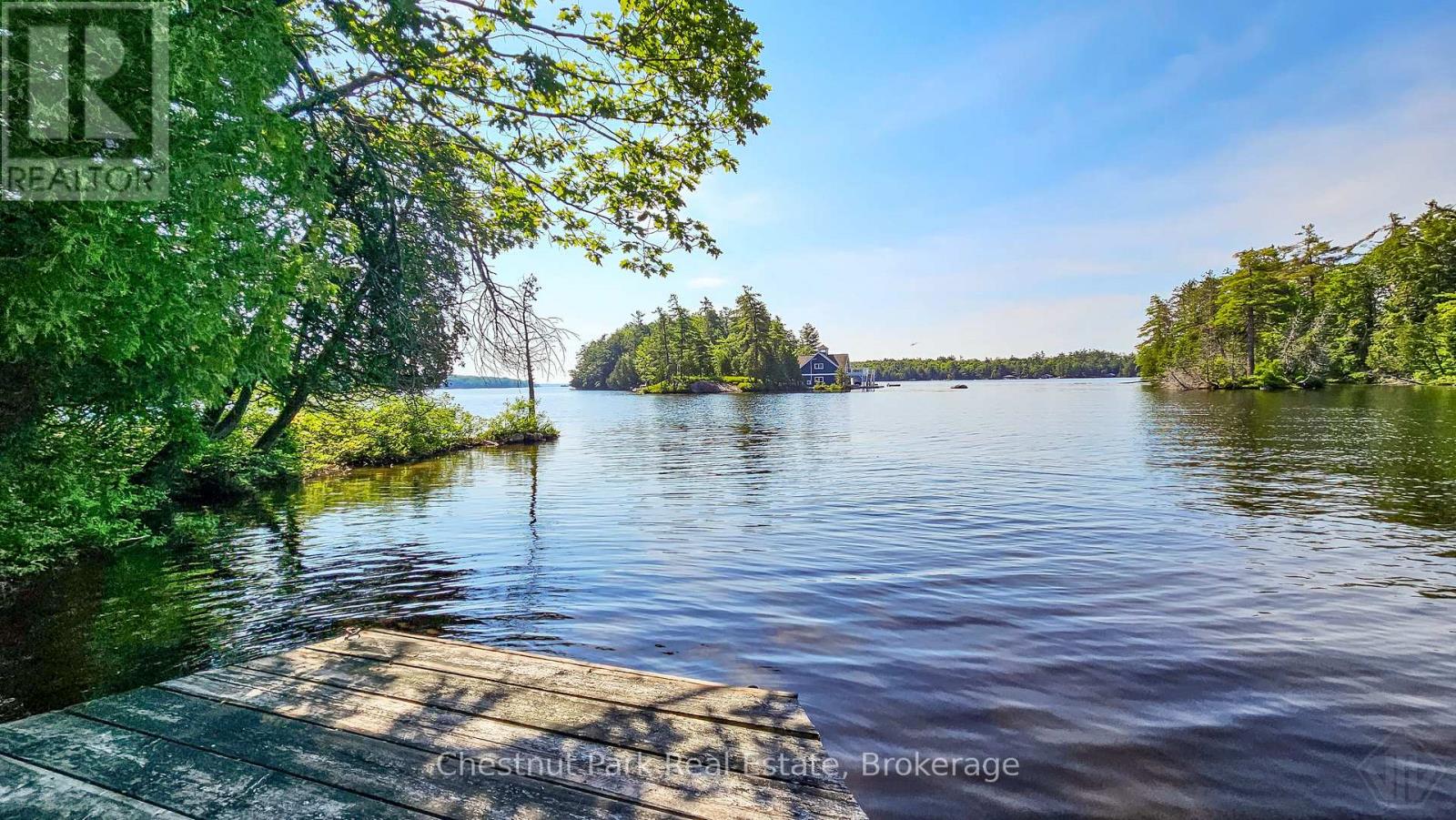 1 Merlin (Island M91) Island, Muskoka Lakes, Ontario  P1P 1R2 - Photo 3 - X13552974