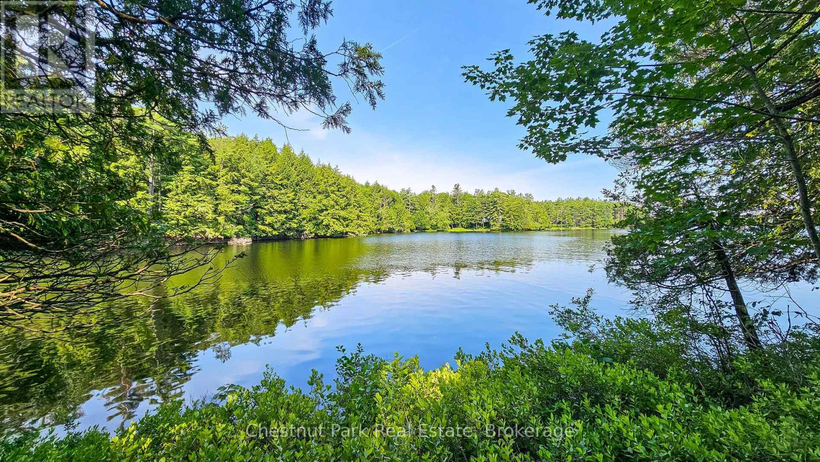 1 Merlin (Island M91) Island, Muskoka Lakes, Ontario  P1P 1R2 - Photo 30 - X13552974