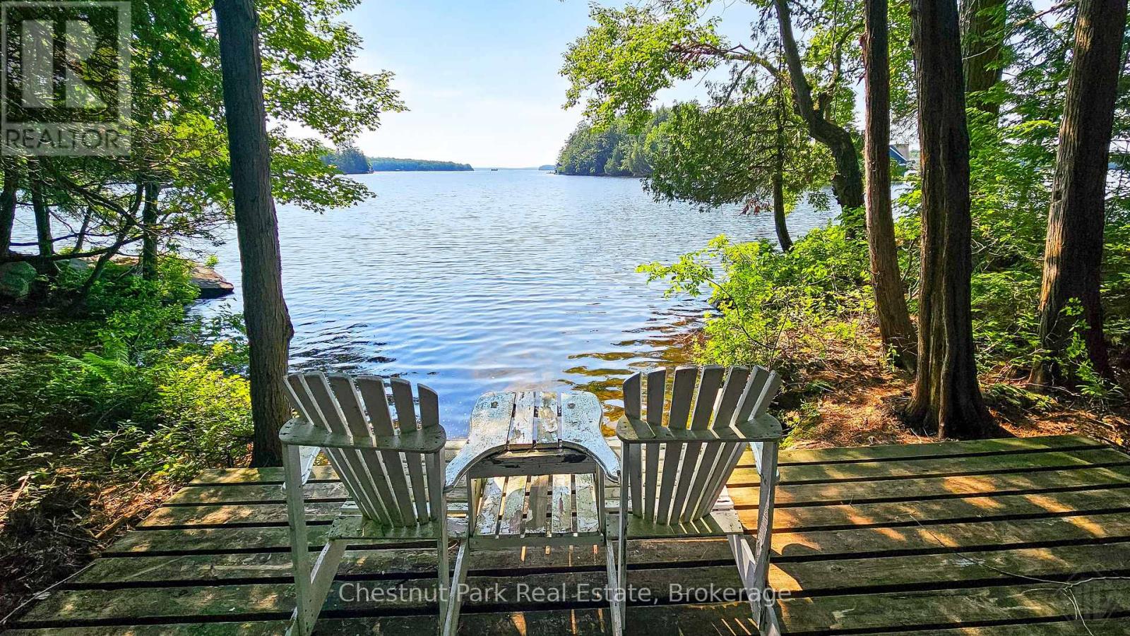 1 Merlin (Island M91) Island, Muskoka Lakes, Ontario  P1P 1R2 - Photo 34 - X13552974