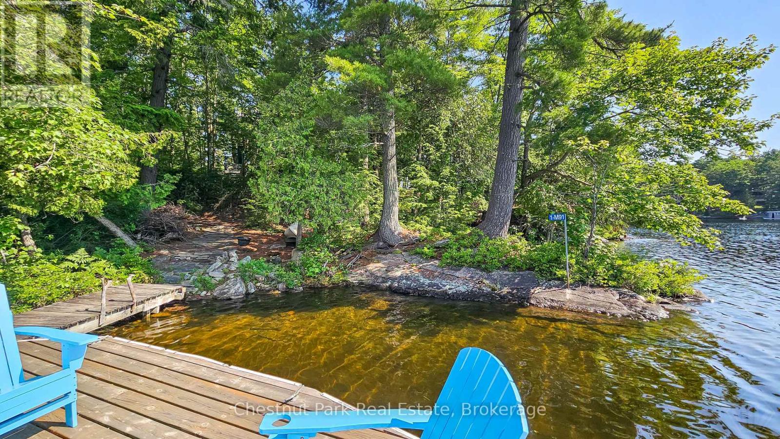 1 Merlin (Island M91) Island, Muskoka Lakes, Ontario  P1P 1R2 - Photo 36 - X13552974