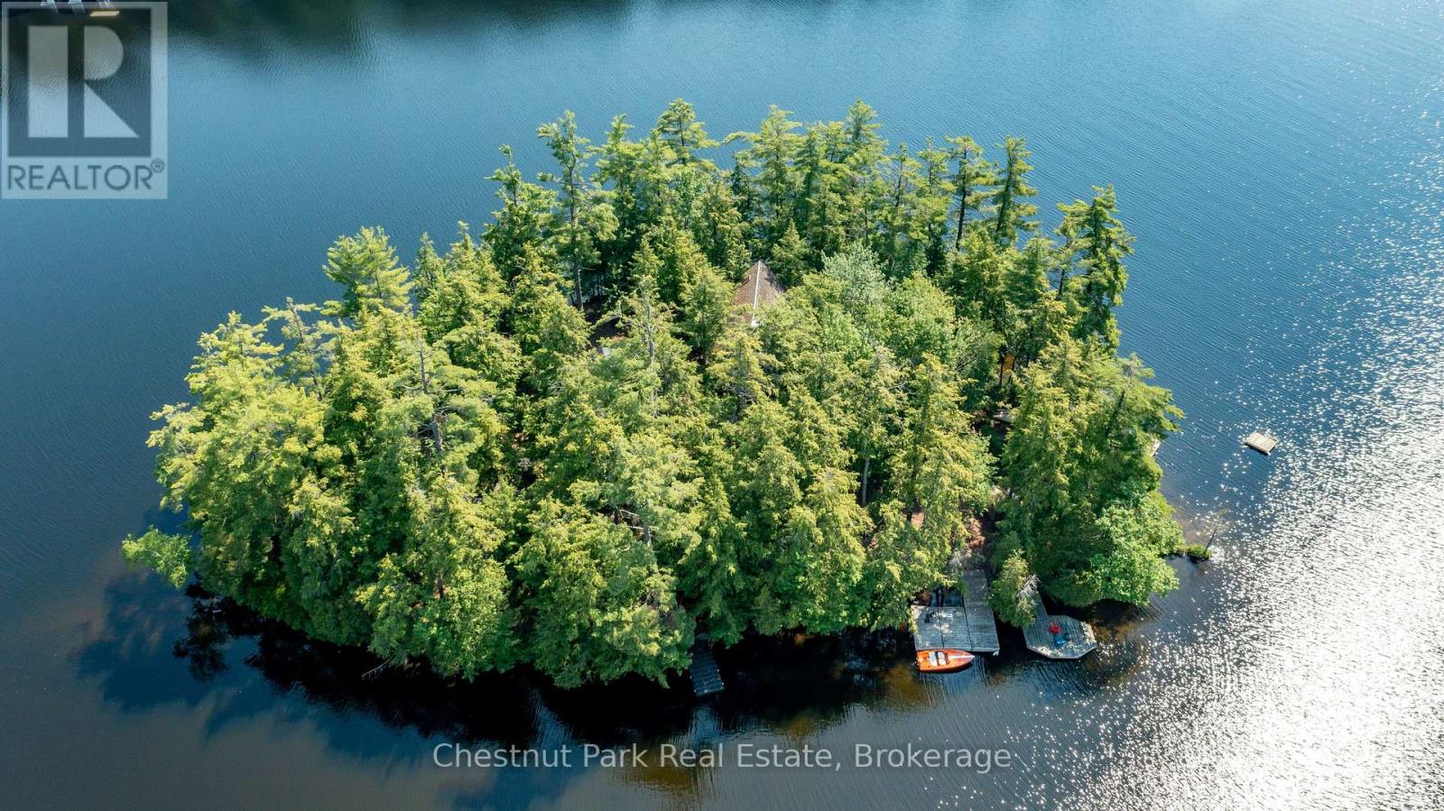 1 Merlin (Island M91) Island, Muskoka Lakes, Ontario  P1P 1R2 - Photo 4 - X13552974