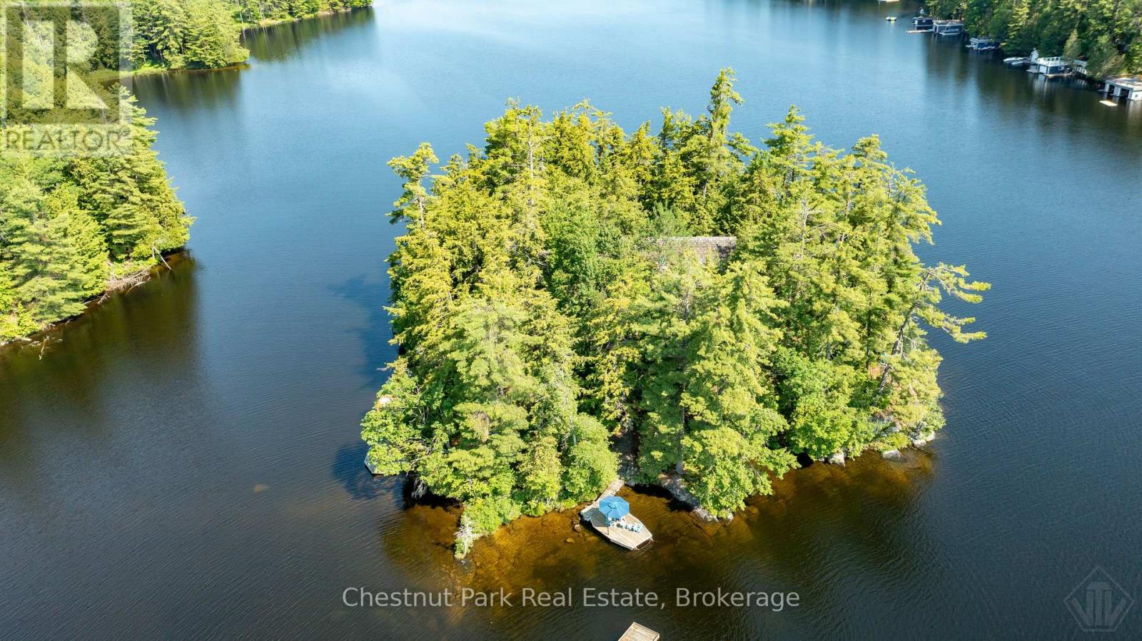 1 Merlin (Island M91) Island, Muskoka Lakes, Ontario  P1P 1R2 - Photo 41 - X13552974