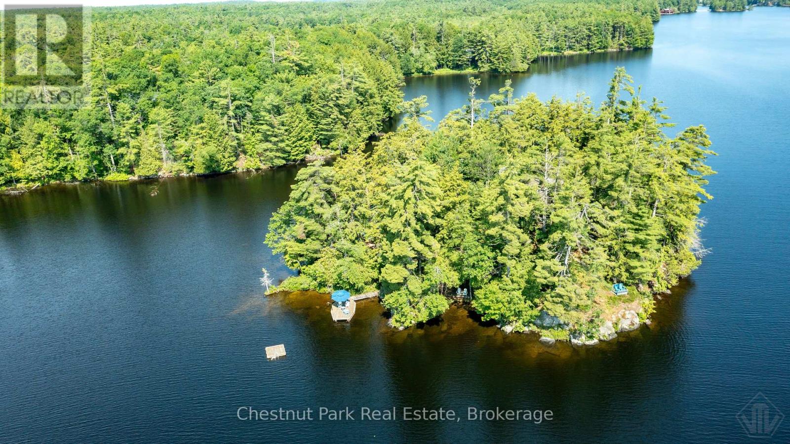 1 Merlin (Island M91) Island, Muskoka Lakes, Ontario  P1P 1R2 - Photo 42 - X13552974