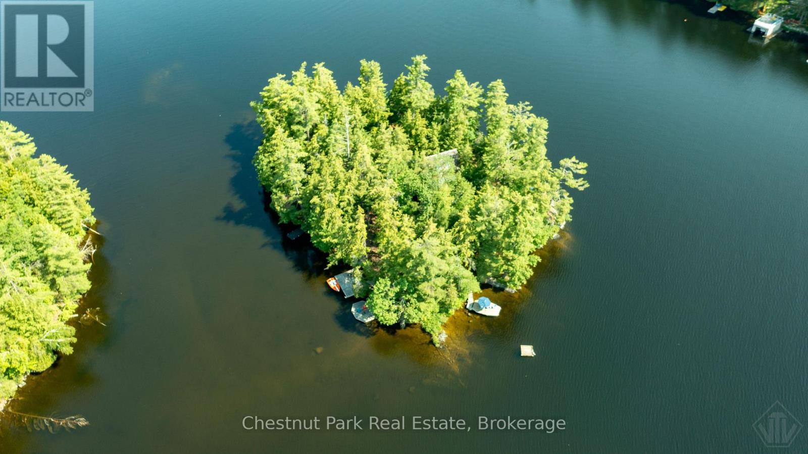 1 Merlin (Island M91) Island, Muskoka Lakes, Ontario  P1P 1R2 - Photo 43 - X13552974