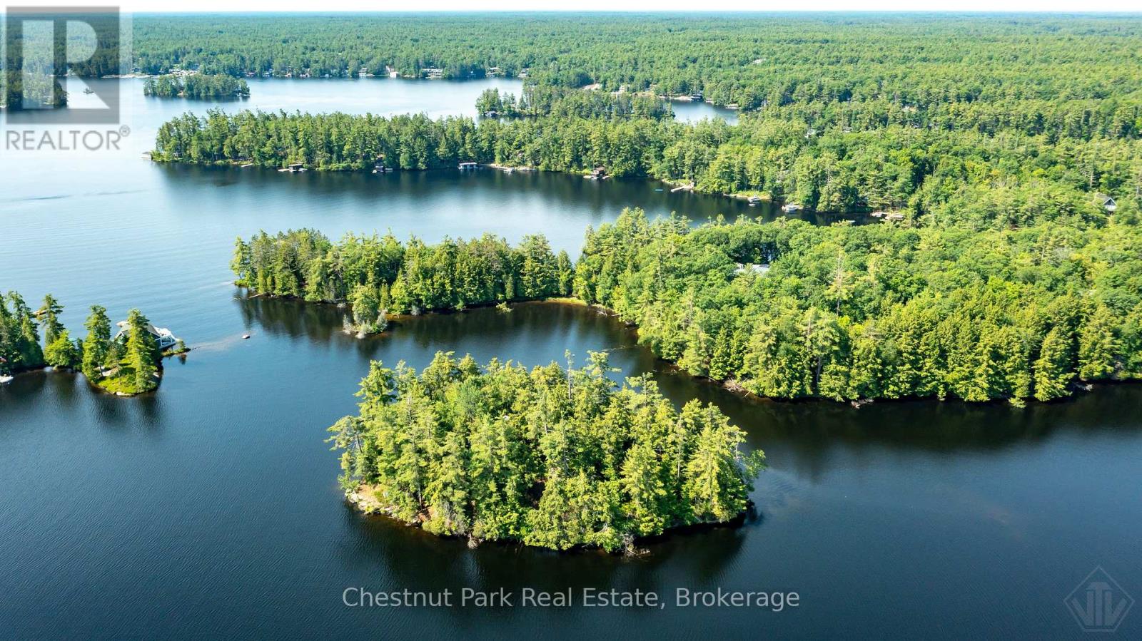 1 Merlin (Island M91) Island, Muskoka Lakes, Ontario  P1P 1R2 - Photo 44 - X13552974
