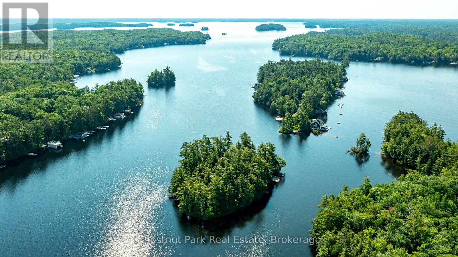 1 Merlin (Island M91) Island, Muskoka Lakes, Ontario  P1P 1R2 - Photo 45 - X13552974