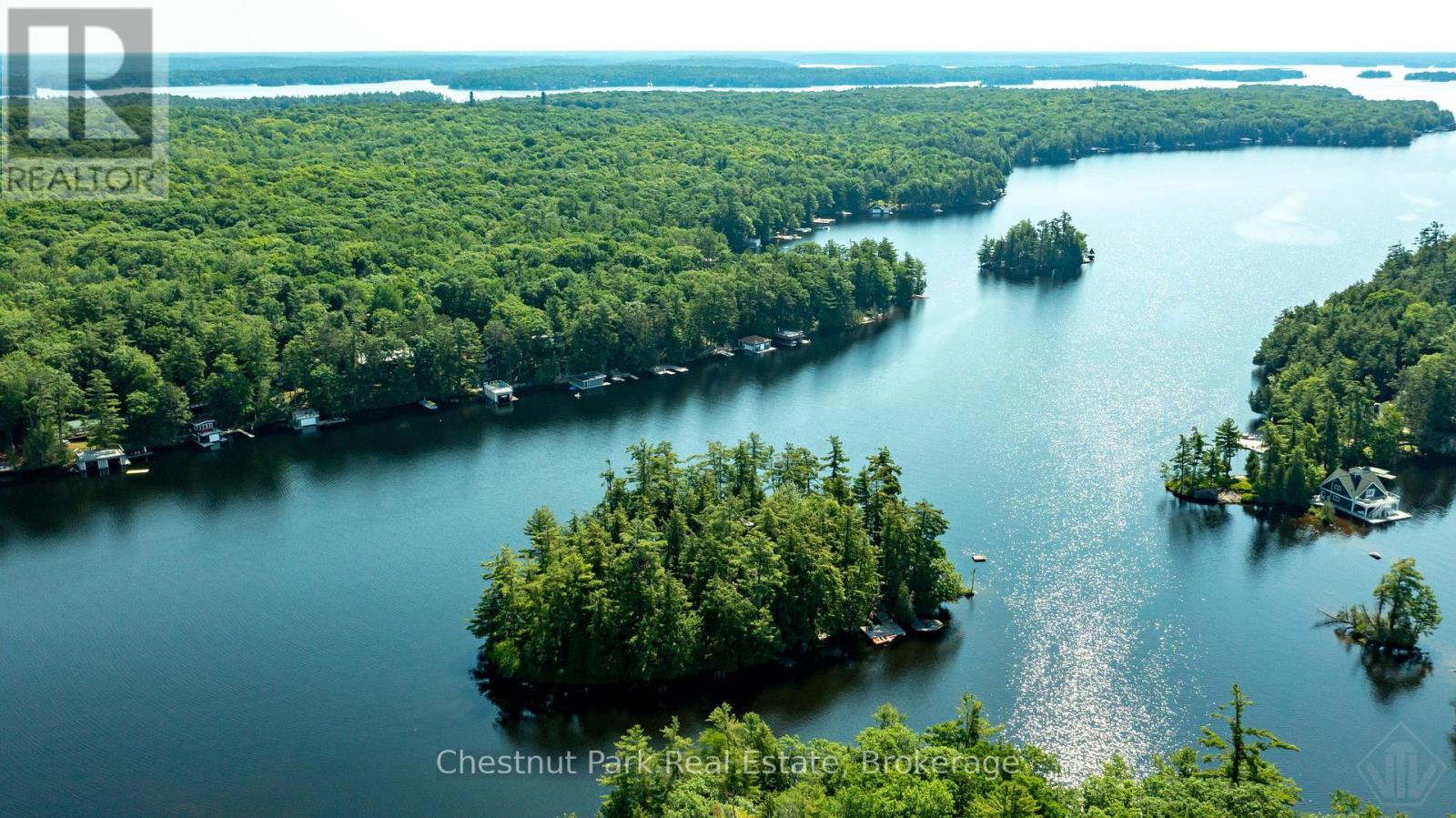 1 Merlin (Island M91) Island, Muskoka Lakes, Ontario  P1P 1R2 - Photo 46 - X13552974