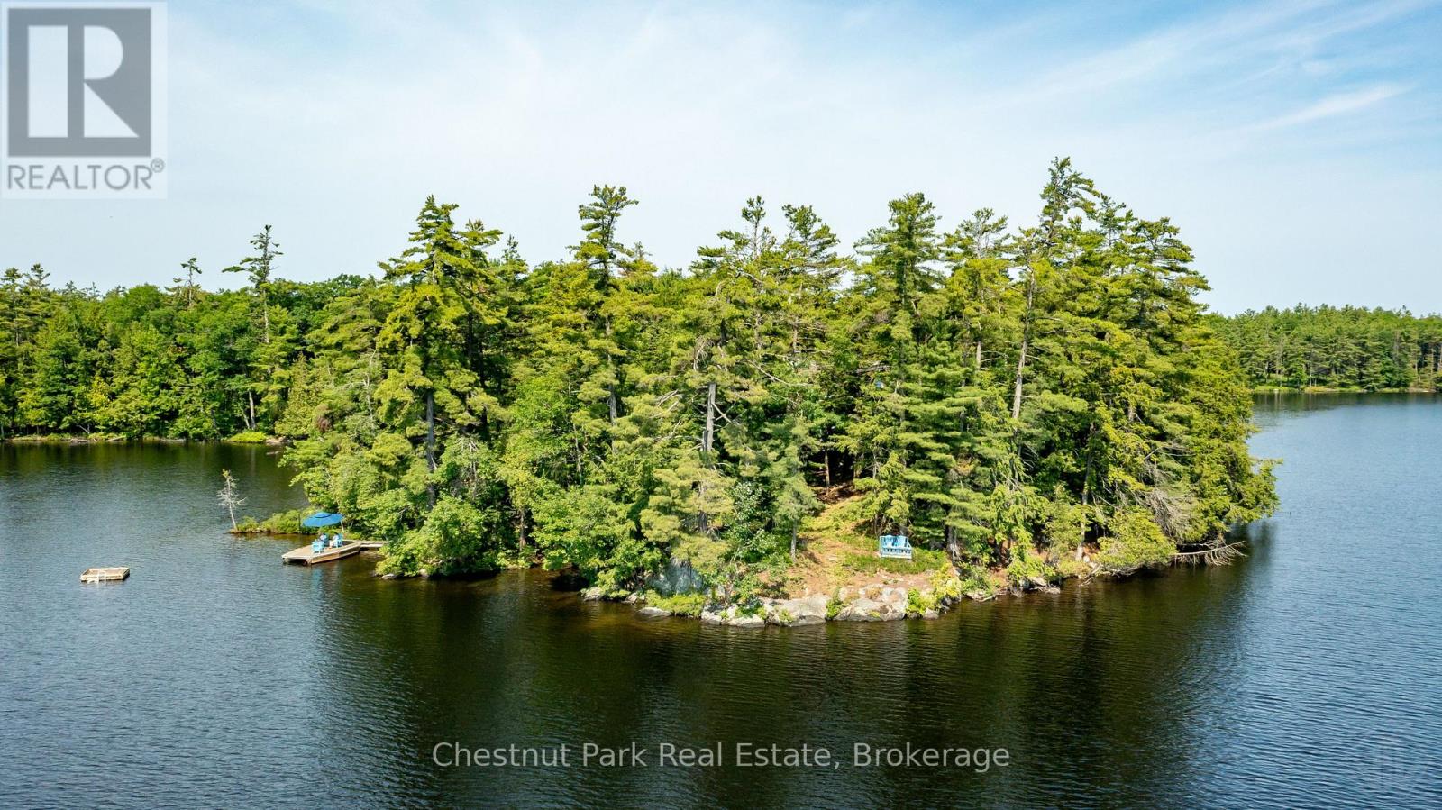 1 Merlin (Island M91) Island, Muskoka Lakes, Ontario  P1P 1R2 - Photo 5 - X13552974