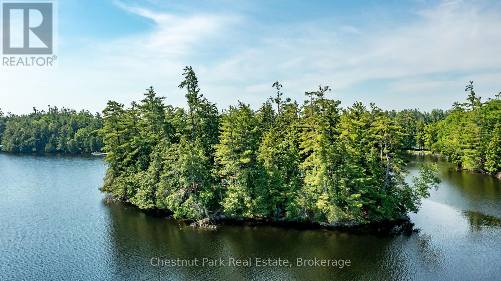 1 Merlin (Island M91) Island, Muskoka Lakes, Ontario  P1P 1R2 - Photo 6 - X13552974