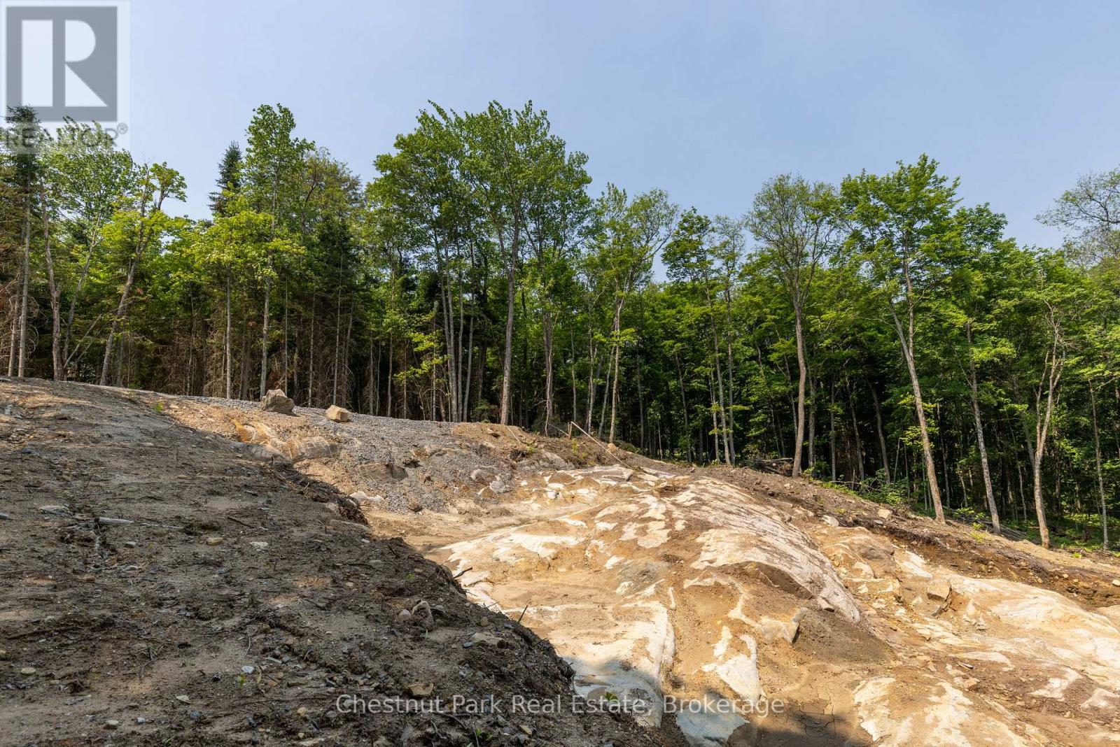 2212 Aspdin Road, Huntsville, Ontario  P0B 1M0 - Photo 11 - X13553370