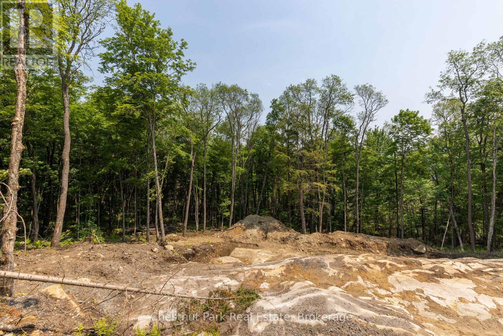 2212 Aspdin Road, Huntsville, Ontario  P0B 1M0 - Photo 17 - X13553370