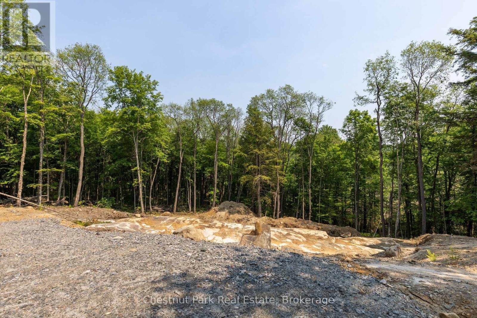 2212 Aspdin Road, Huntsville, Ontario  P0B 1M0 - Photo 18 - X13553370