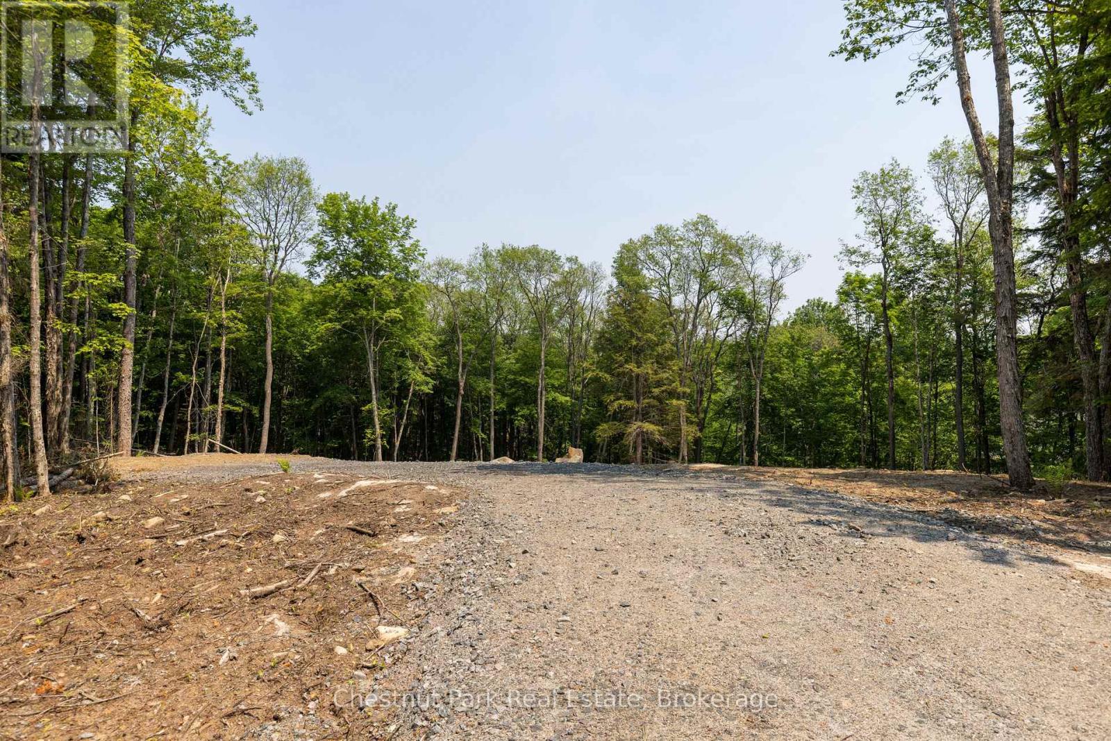 2212 Aspdin Road, Huntsville, Ontario  P0B 1M0 - Photo 6 - X13553370