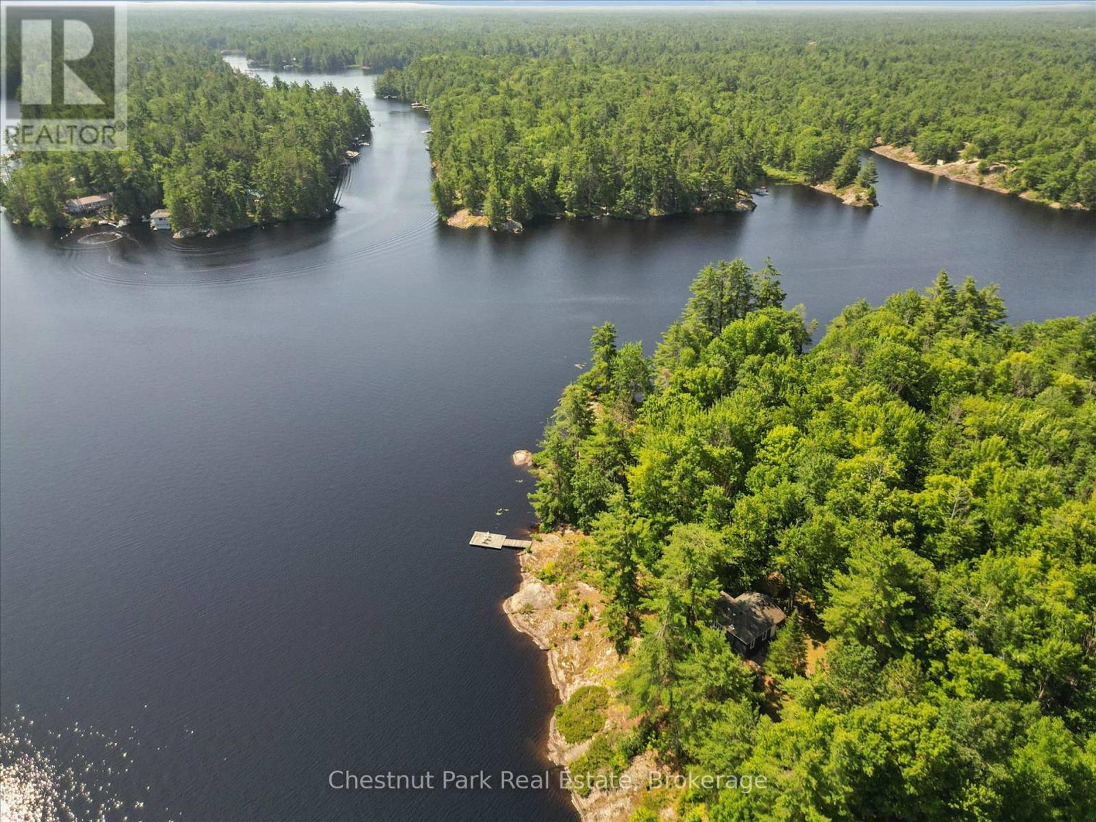 1040 Fire 6c Route, Gravenhurst, Ontario  P1P 1R3 - Photo 19 - X13554564