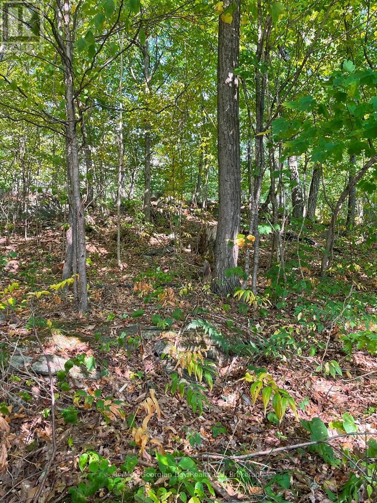 4sr406 Severn River Route, Muskoka Lakes, Ontario  L0K 1E0 - Photo 34 - X13557522