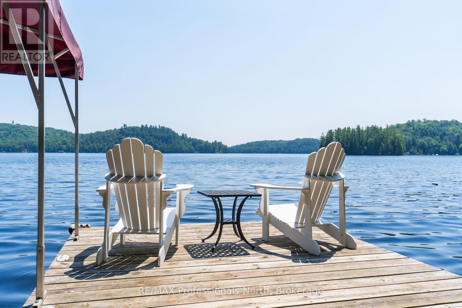 1461 South Portage Road, Lake Of Bays, Ontario  P0A 1H0 - Photo 1 - X13568864