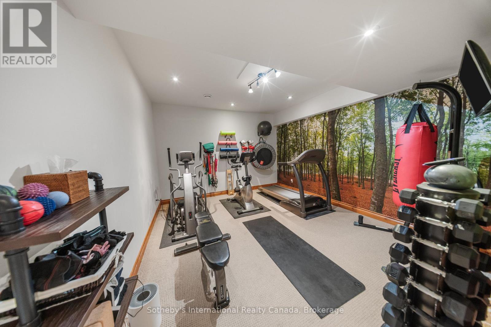 743 Skyhills Road, Huntsville, Ontario  P1H 2N5 - Photo 42 - X13569560