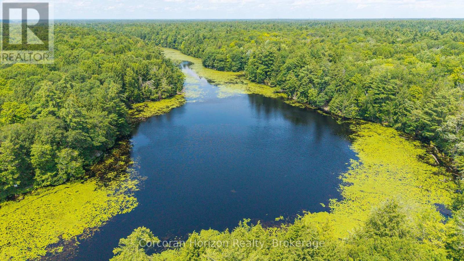 Lt 14 Hungry Bay Road, Georgian Bay, Ontario L0K 1S0 - Photo 16 - X13575990