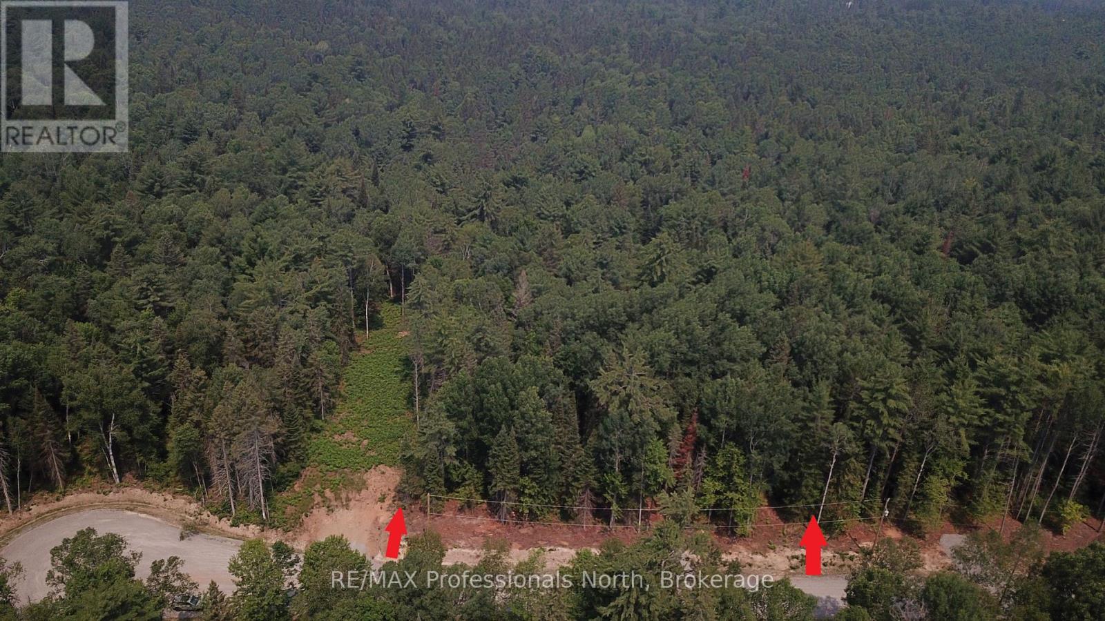 01 Sale Road, Lake Of Bays, Ontario  P0A 1H0 - Photo 1 - X13576540
