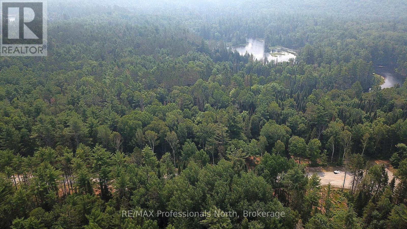 01 Sale Road, Lake Of Bays, Ontario  P0A 1H0 - Photo 10 - X13576540