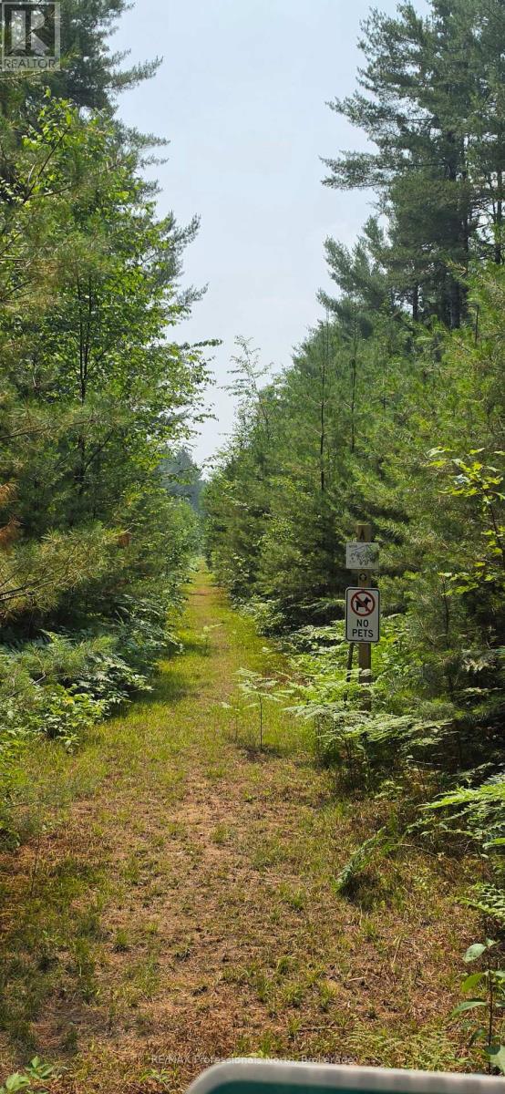 01 Sale Road, Lake Of Bays, Ontario  P0A 1H0 - Photo 12 - X13576540